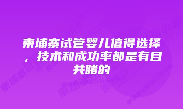 柬埔寨试管婴儿值得选择，技术和成功率都是有目共睹的