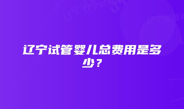 辽宁试管婴儿总费用是多少？