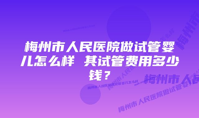 梅州市人民医院做试管婴儿怎么样 其试管费用多少钱？