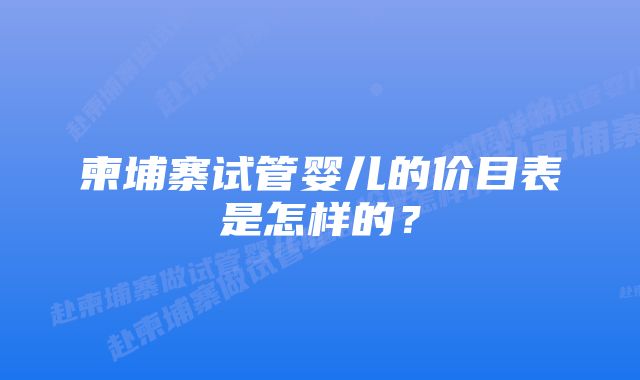 柬埔寨试管婴儿的价目表是怎样的？