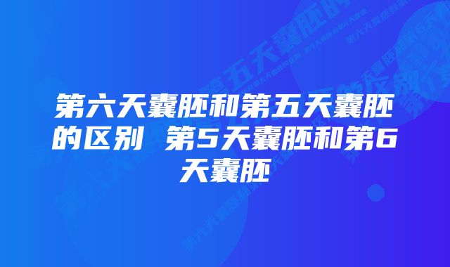 第六天囊胚和第五天囊胚的区别 第5天囊胚和第6天囊胚