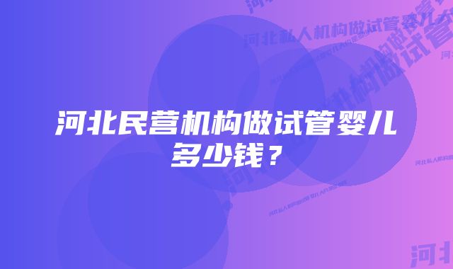 河北民营机构做试管婴儿多少钱？