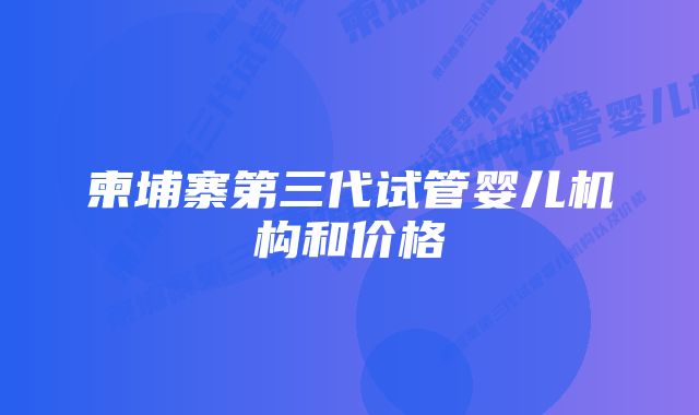 柬埔寨第三代试管婴儿机构和价格