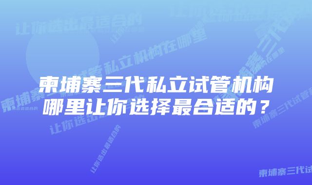 柬埔寨三代私立试管机构哪里让你选择最合适的？