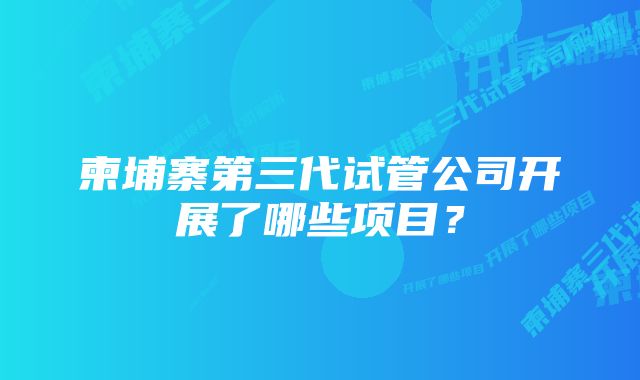 柬埔寨第三代试管公司开展了哪些项目？