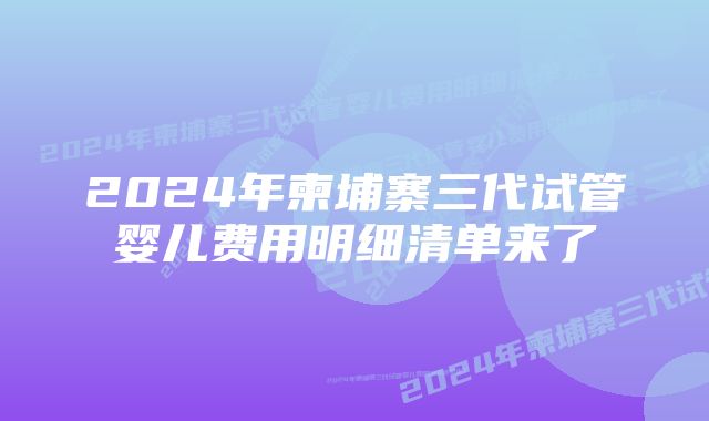 2024年柬埔寨三代试管婴儿费用明细清单来了