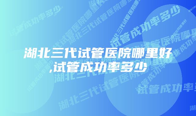 湖北三代试管医院哪里好,试管成功率多少