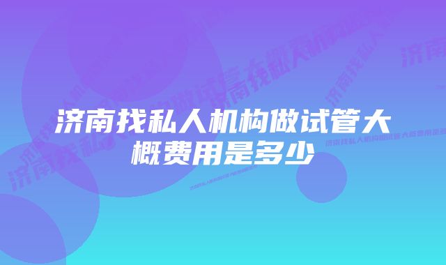 济南找私人机构做试管大概费用是多少