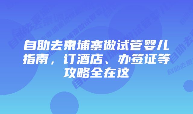 自助去柬埔寨做试管婴儿指南，订酒店、办签证等攻略全在这