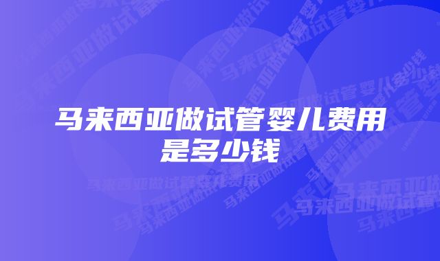 马来西亚做试管婴儿费用是多少钱