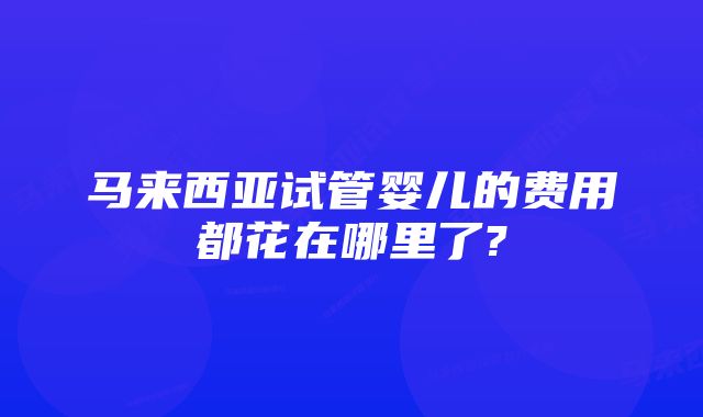 马来西亚试管婴儿的费用都花在哪里了?