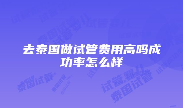 去泰国做试管费用高吗成功率怎么样