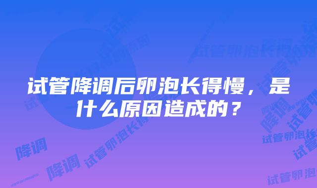 试管降调后卵泡长得慢，是什么原因造成的？