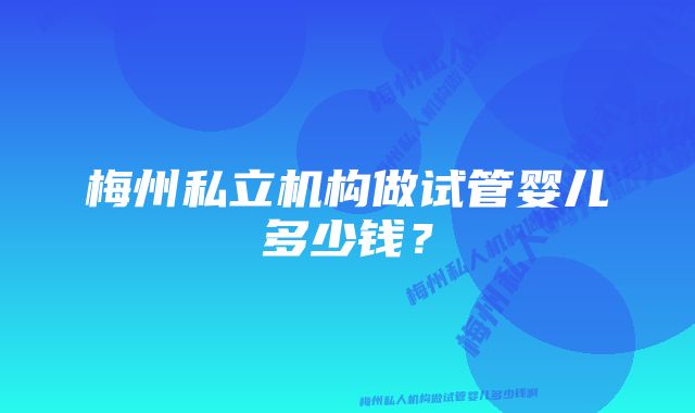 梅州私立机构做试管婴儿多少钱？