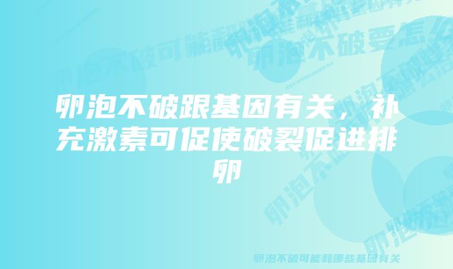 卵泡不破跟基因有关，补充激素可促使破裂促进排卵