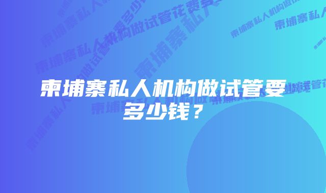 柬埔寨私人机构做试管要多少钱？