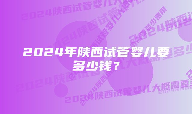 2024年陕西试管婴儿要多少钱？