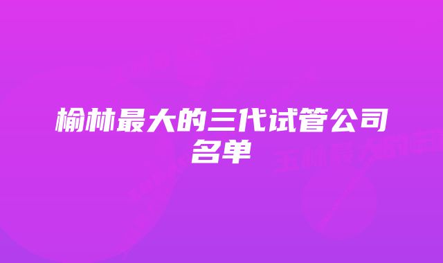 榆林最大的三代试管公司名单