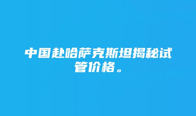 中国赴哈萨克斯坦揭秘试管价格。