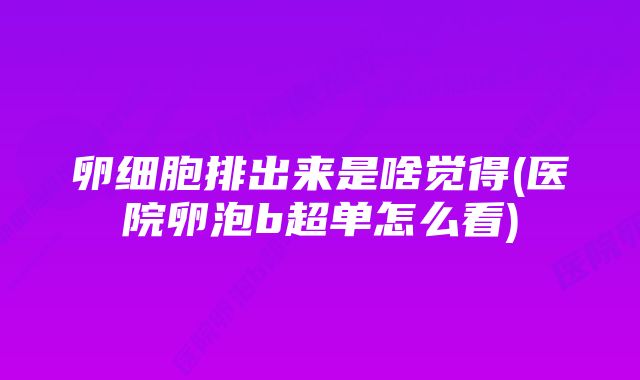 卵细胞排出来是啥觉得(医院卵泡b超单怎么看)