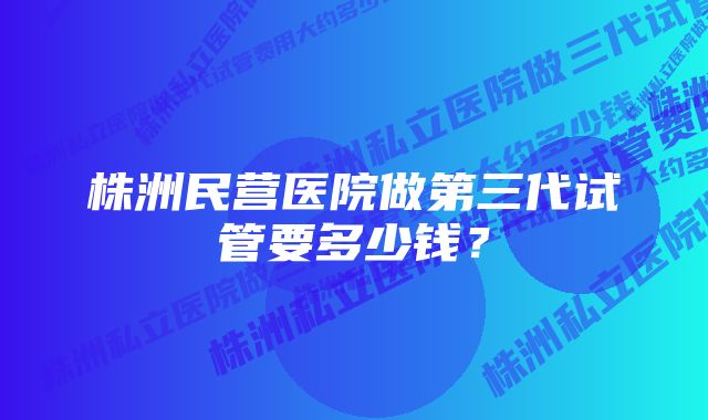 株洲民营医院做第三代试管要多少钱？