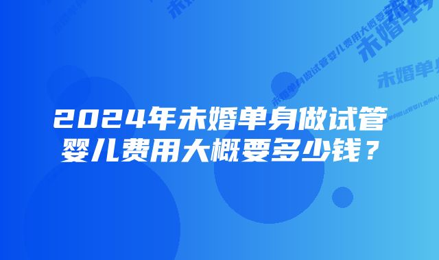 2024年未婚单身做试管婴儿费用大概要多少钱？