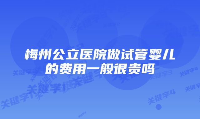 梅州公立医院做试管婴儿的费用一般很贵吗