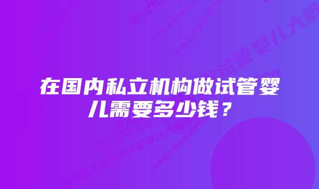 在国内私立机构做试管婴儿需要多少钱？