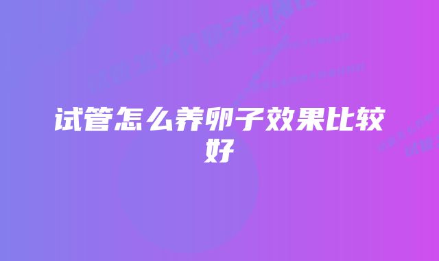 试管怎么养卵子效果比较好