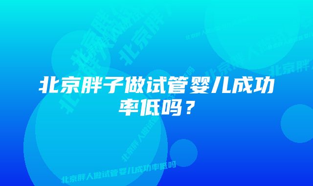 北京胖子做试管婴儿成功率低吗？