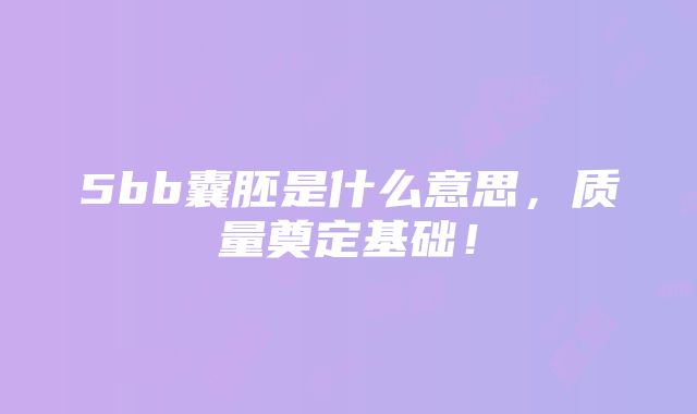 5bb囊胚是什么意思，质量奠定基础！