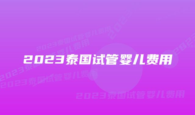 2023泰国试管婴儿费用