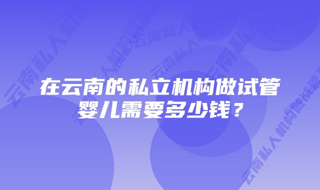 在云南的私立机构做试管婴儿需要多少钱？