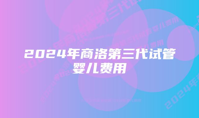 2024年商洛第三代试管婴儿费用