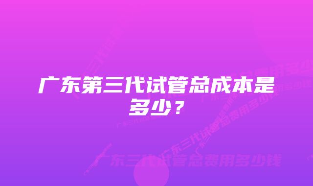 广东第三代试管总成本是多少？