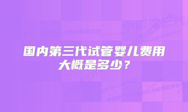 国内第三代试管婴儿费用大概是多少？