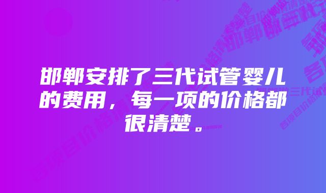 邯郸安排了三代试管婴儿的费用，每一项的价格都很清楚。