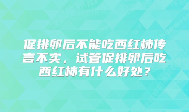 促排卵后不能吃西红柿传言不实，试管促排卵后吃西红柿有什么好处？