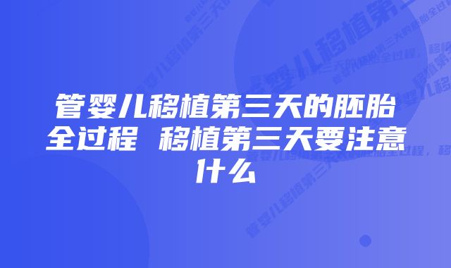 管婴儿移植第三天的胚胎全过程 移植第三天要注意什么