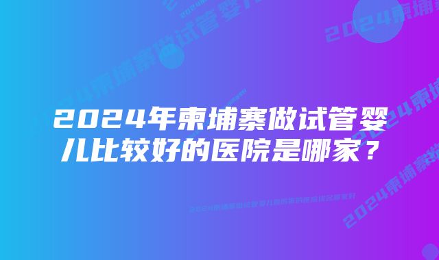 2024年柬埔寨做试管婴儿比较好的医院是哪家？