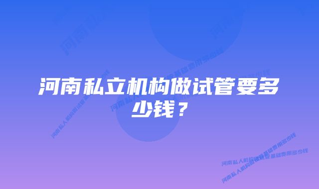 河南私立机构做试管要多少钱？