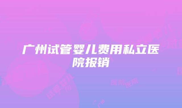 广州试管婴儿费用私立医院报销