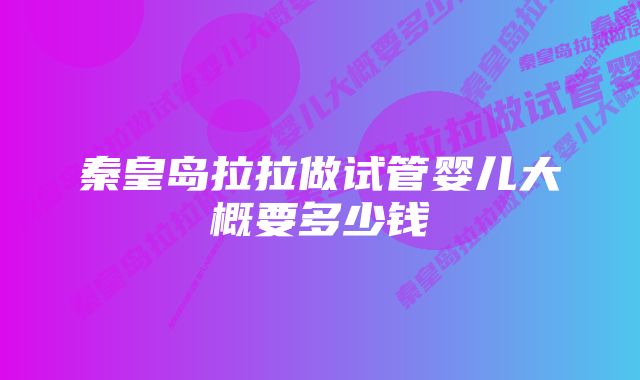 秦皇岛拉拉做试管婴儿大概要多少钱