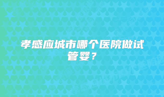 孝感应城市哪个医院做试管婴？