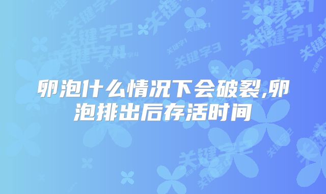 卵泡什么情况下会破裂,卵泡排出后存活时间