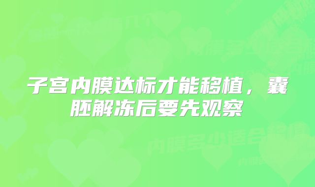 子宫内膜达标才能移植，囊胚解冻后要先观察