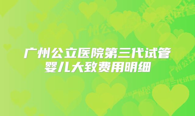 广州公立医院第三代试管婴儿大致费用明细