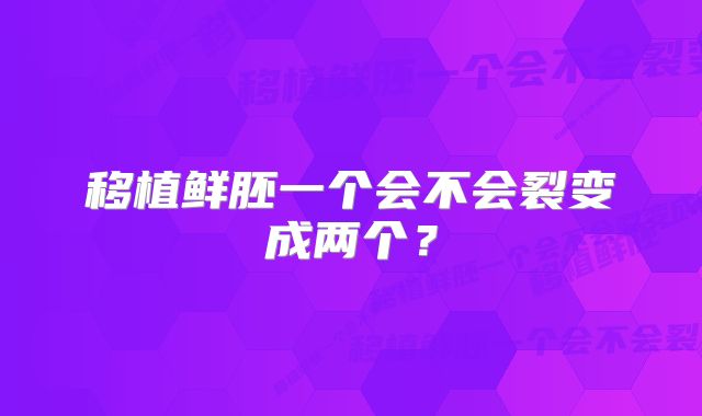 移植鲜胚一个会不会裂变成两个？