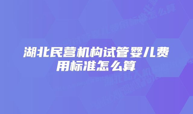 湖北民营机构试管婴儿费用标准怎么算