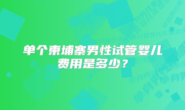 单个柬埔寨男性试管婴儿费用是多少？